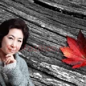 蒋美艳