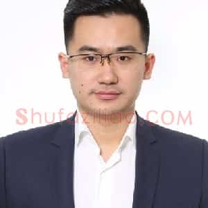 治龙