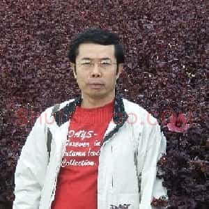 许自敬