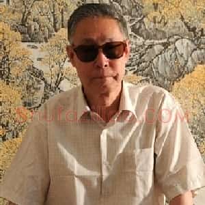李辛儒