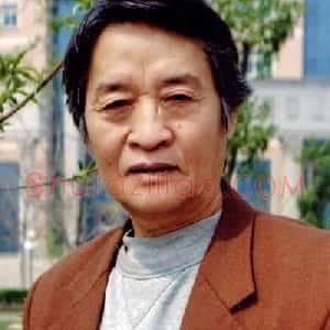 白显文