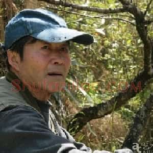 谷钢