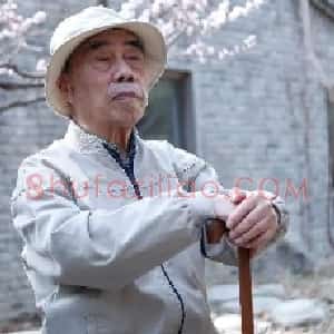 戴泽