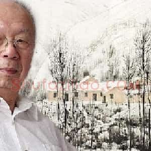 张仁芝