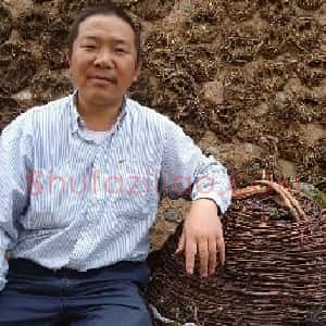 张洪春