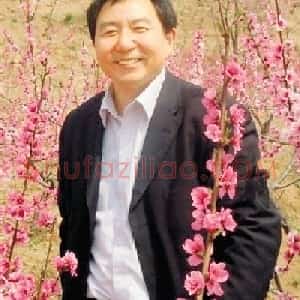 李金峰