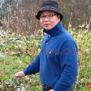 张及时