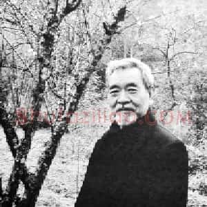 张治安
