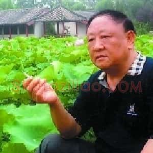 王少卿