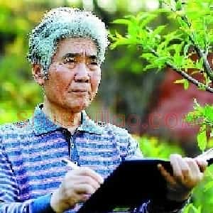 王征