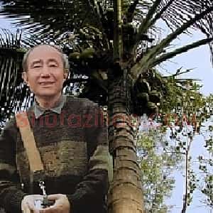 裘缉木