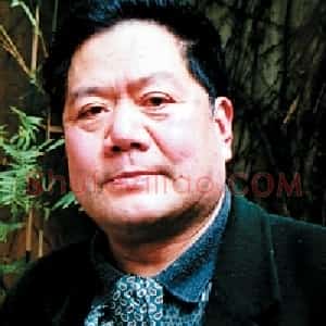 王云鹤