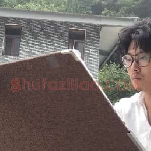 张建