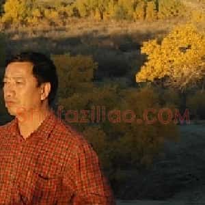 王殿华