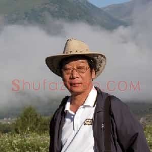 王彦发