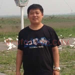 张波