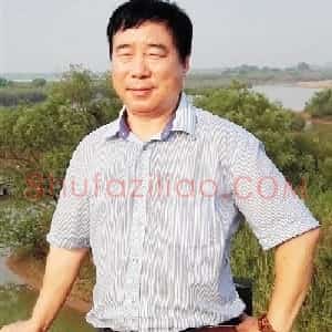 林维