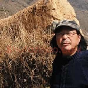 周晓冰