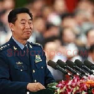 刘振起