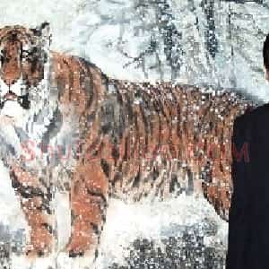 杨德才