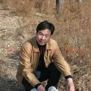 陈健