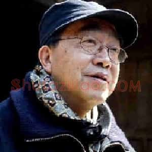 陈逸飞