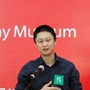 贾蔼力