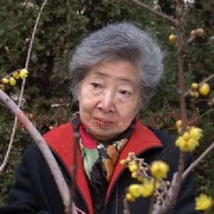 刘菊清