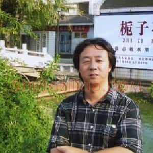 徐志敏