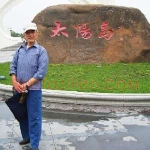 万树