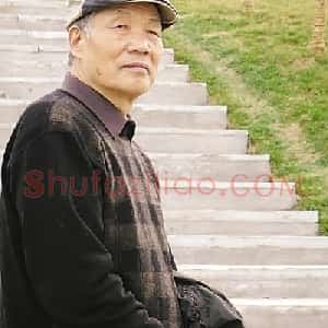 齐辛民