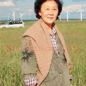 朱理存