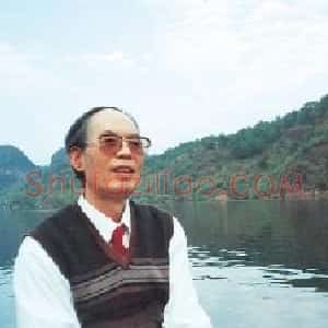 陈辛一