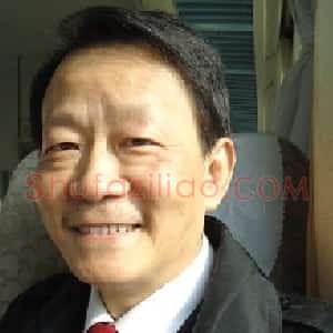 阳小毛