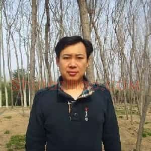辛建伟