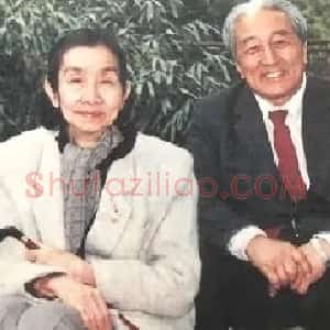 刘力上