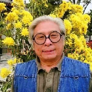 魏峰