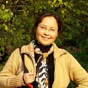 陈洛加