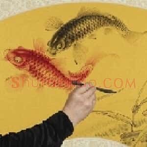 潘晓鸥