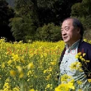 王书平