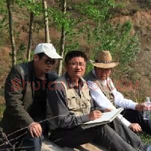 张宇