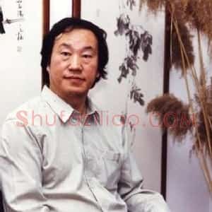戴顺智