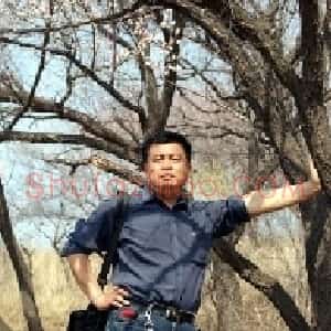 王金海