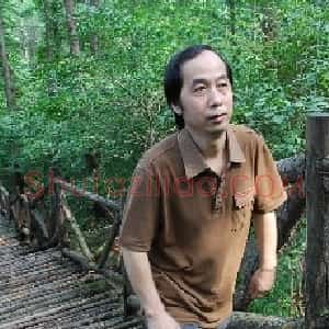 张伟平