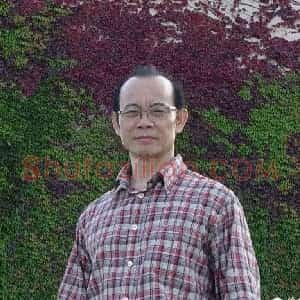 黄茂强