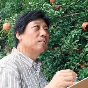雷家民