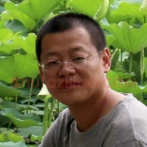 loveshufa的头像
