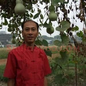 王来胜