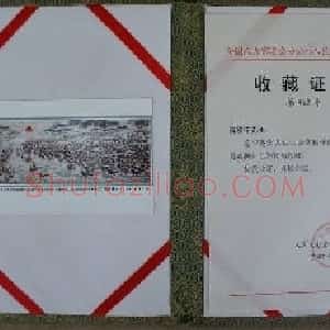 雷晓宁