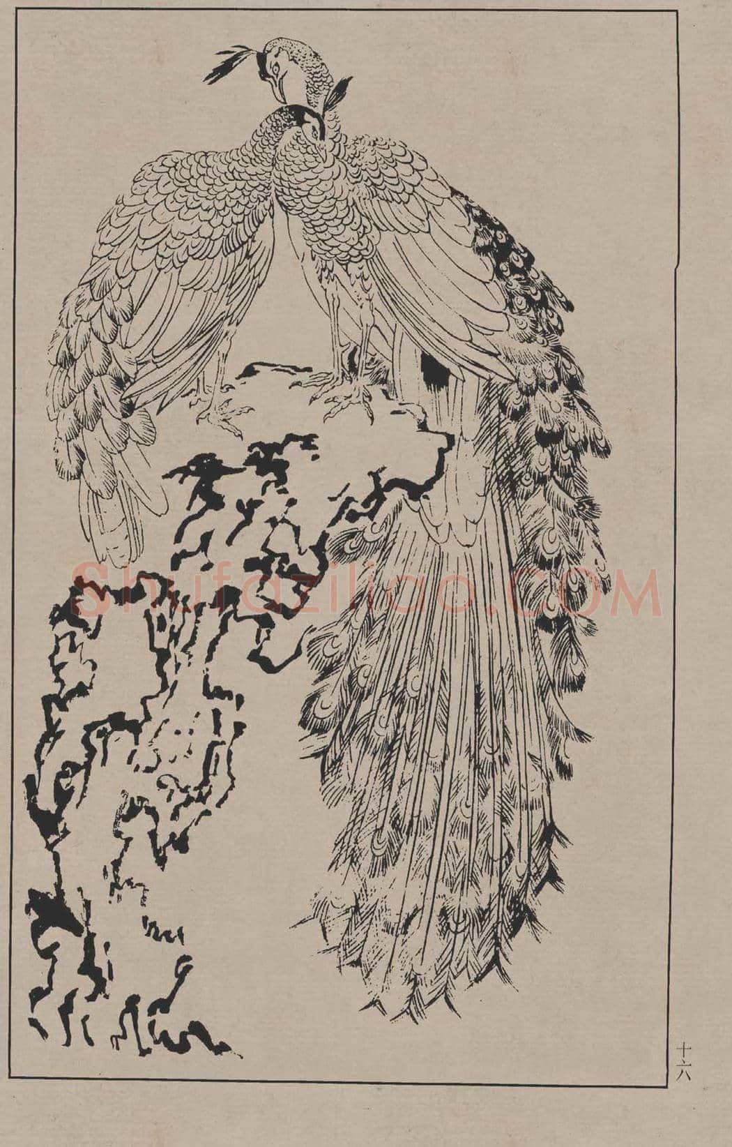 工笔画线描百鸟画谱，太美了 | 书画资料